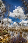 Loop Road Everglades - 24/02/2022