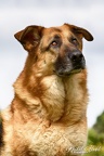 Max - 21/05/2023